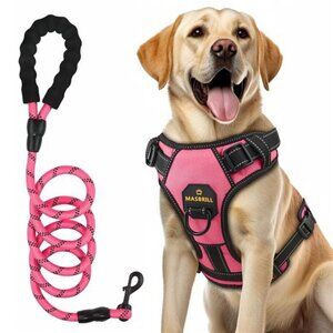 Dog Harness Leash Set, No Pull Vest Harness, Reflective Adjustable for Small Dog